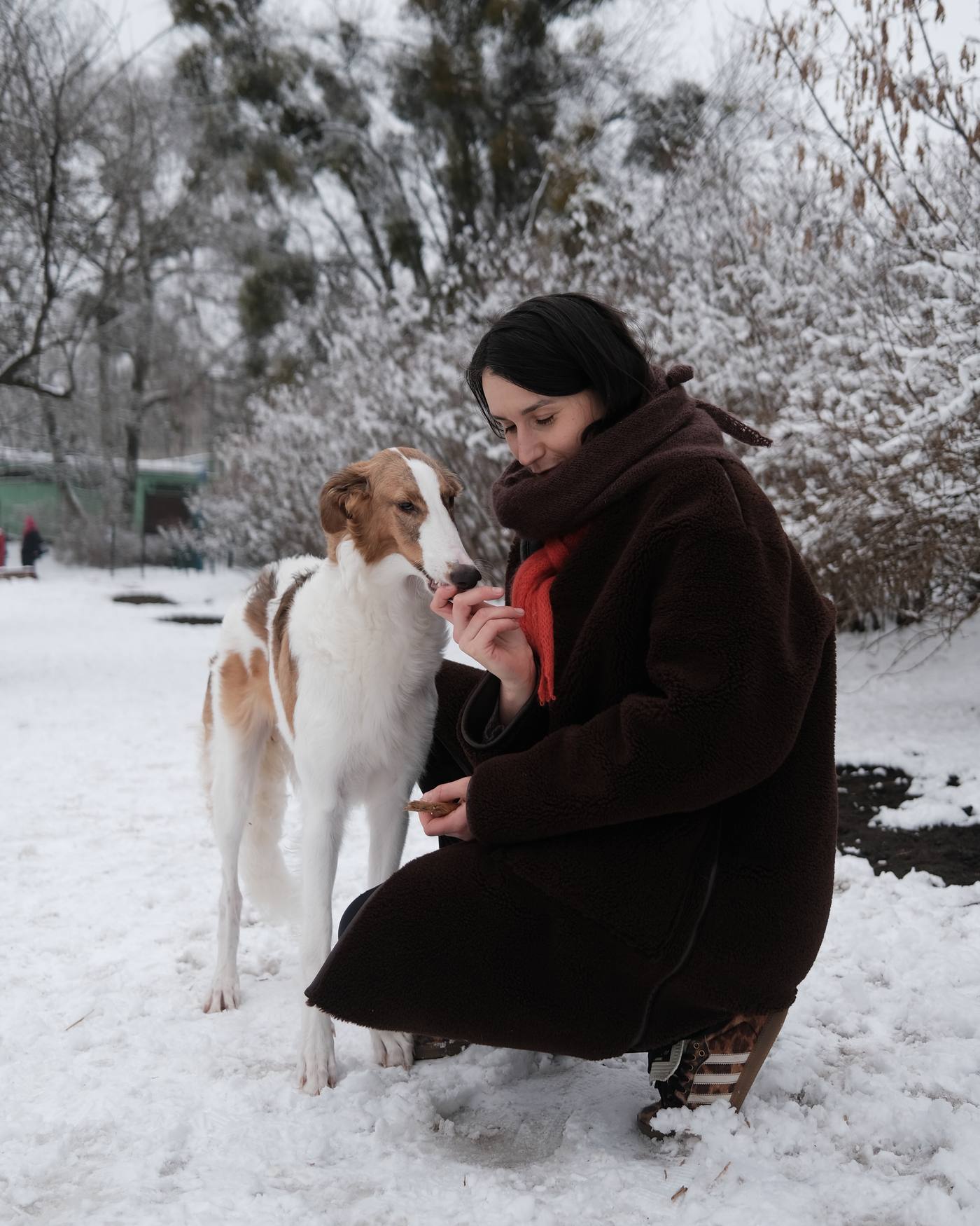 Ewelina kucająca w śniegu obok borzoja